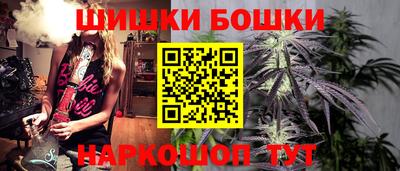 МДПВ Будённовск