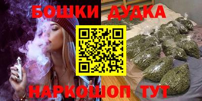 МДПВ Будённовск