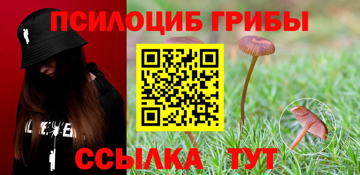 Междуреченск  Галлюциногенные грибы мицелий  Псилоцибиновые грибы GOLDEN TEACHER  Вход с VPN 