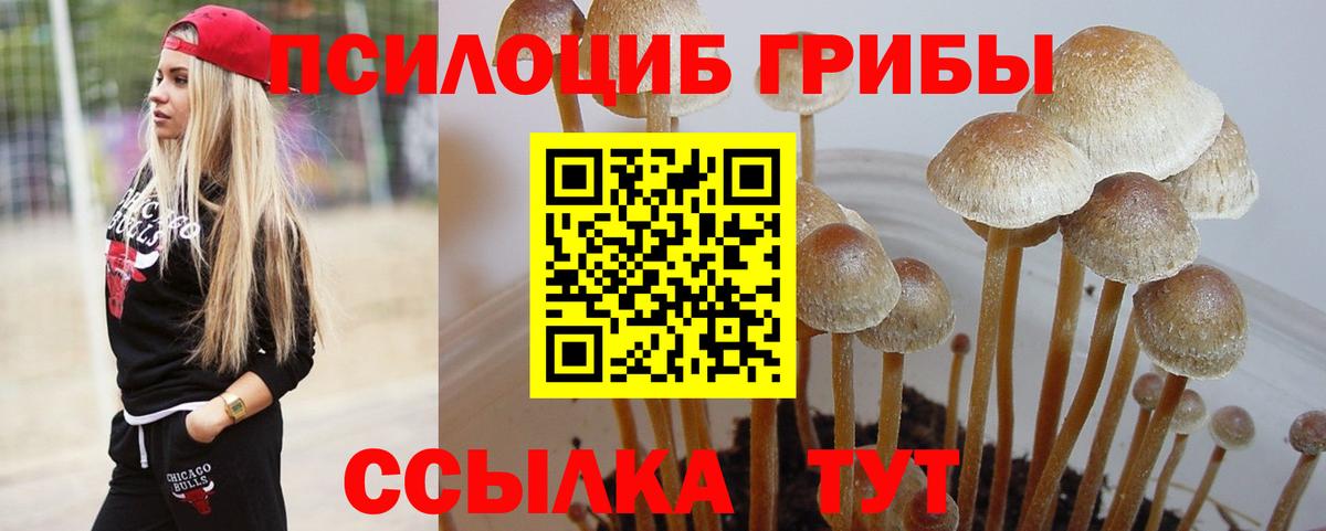 Псилоцибиновые грибы GOLDEN TEACHER Междуреченск